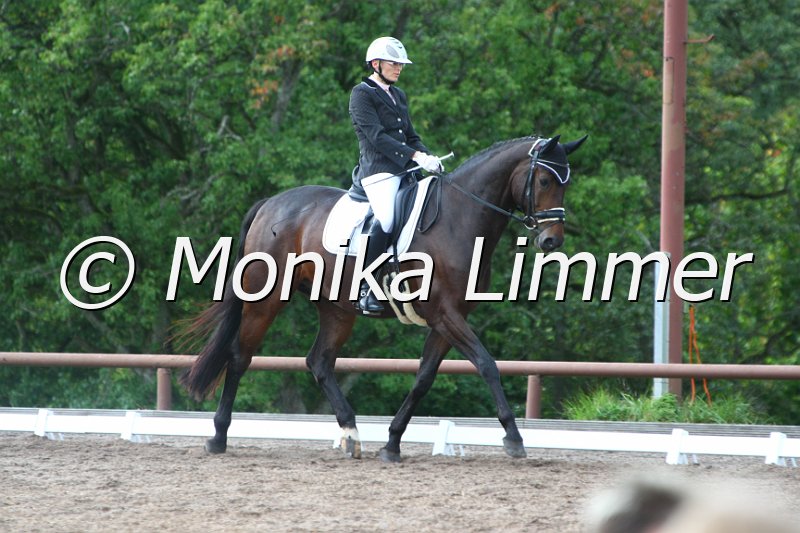 109M2561_Jack Sparrow_Dressur_A.JPG